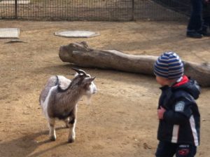 Lieblingsplätze in meiner Stadt - Teil 2: Zoo Leipzig