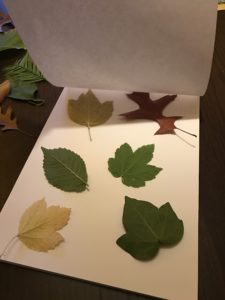 Blättergirlande für die Herbstdekoration