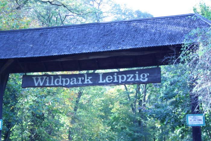 Lieblingsplätze in meiner Stadt - Teil 7: Wildpark Leipzig